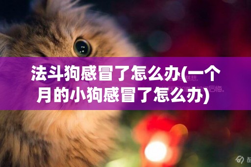 法斗狗感冒了怎么辦(一個月的小狗感冒了怎么辦) 