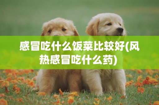 感冒吃什么飯菜比較好(風熱感冒吃什么藥) 