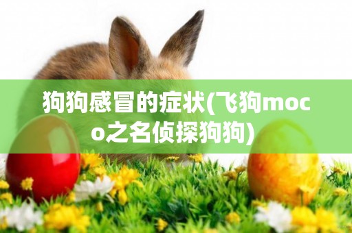 狗狗感冒的癥狀(飛狗moco之名偵探狗狗) 