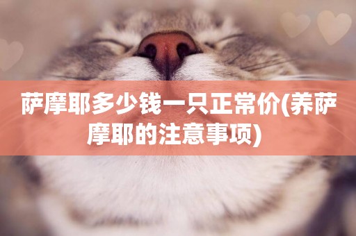 薩摩耶多少錢一只正常價(養薩摩耶的注意事項) 