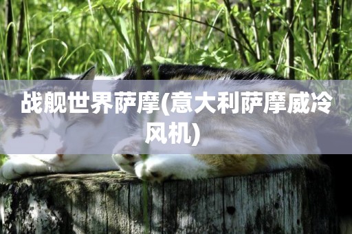 戰艦世界薩摩(意大利薩摩威冷風機) 