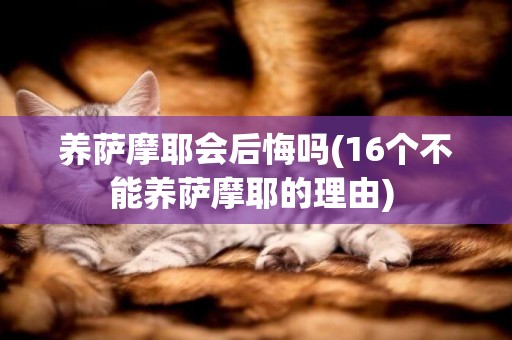 養薩摩耶會后悔嗎(16個不能養薩摩耶的理由) 