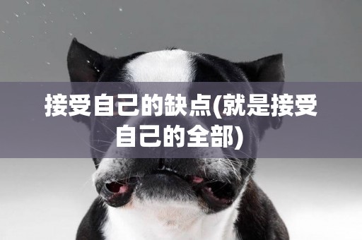 接受自己的缺點(就是接受自己的全部) 