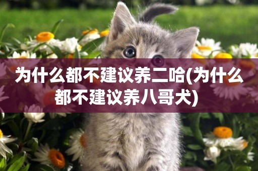 為什么都不建議養二哈(為什么都不建議養八哥犬) 