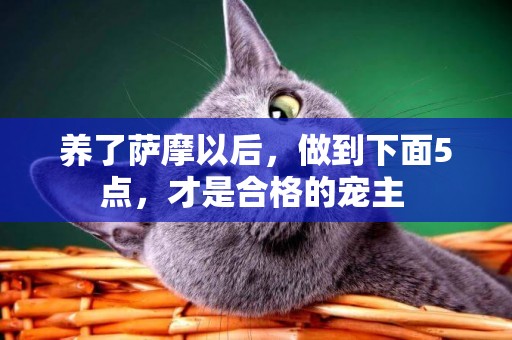 養了薩摩以后，做到下面5點，才是合格的寵主 