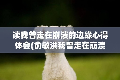 讀我曾走在崩潰的邊緣心得體會(俞敏洪我曾走在崩潰的邊緣) 