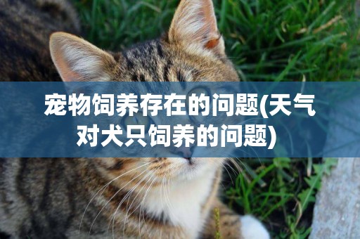 寵物飼養存在的問題(天氣對犬只飼養的問題) 
