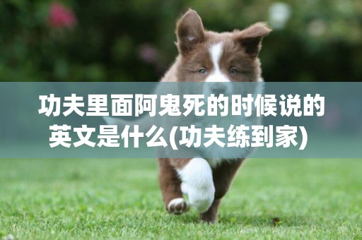 功夫里面阿鬼死的時候說的英文是什么(功夫練到家) 