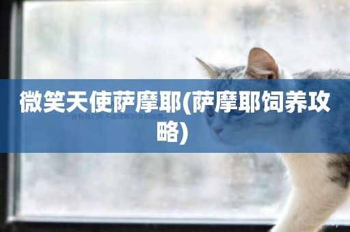 微笑天使薩摩耶(薩摩耶飼養攻略) 