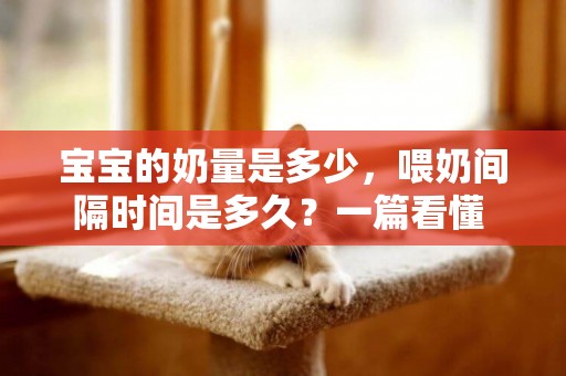 寶寶的奶量是多少，喂奶間隔時間是多久？一篇看懂 