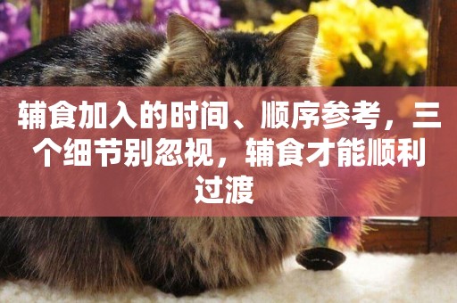 輔食加入的時間、順序參考，三個細節別忽視，輔食才能順利過渡 