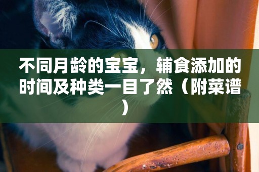 不同月齡的寶寶，輔食添加的時間及種類一目了然（附菜譜） 
