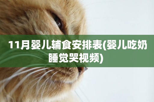 11月嬰兒輔食安排表(嬰兒吃奶睡覺哭視頻) 