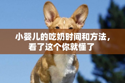 小嬰兒的吃奶時間和方法，看了這個你就懂了 