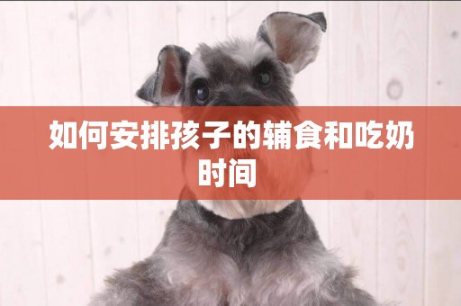 如何安排孩子的輔食和吃奶時間 