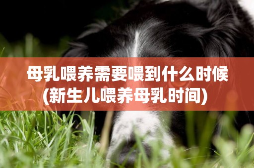 母乳喂養需要喂到什么時候(新生兒喂養母乳時間) 
