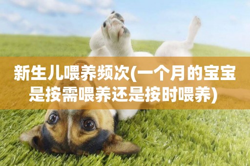 新生兒喂養頻次(一個月的寶寶是按需喂養還是按時喂養) 