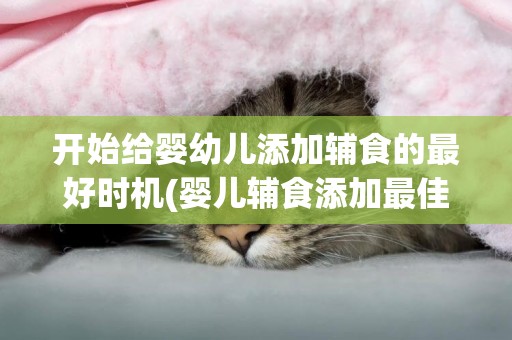 開始給嬰幼兒添加輔食的最好時機(嬰兒輔食添加最佳時期) 