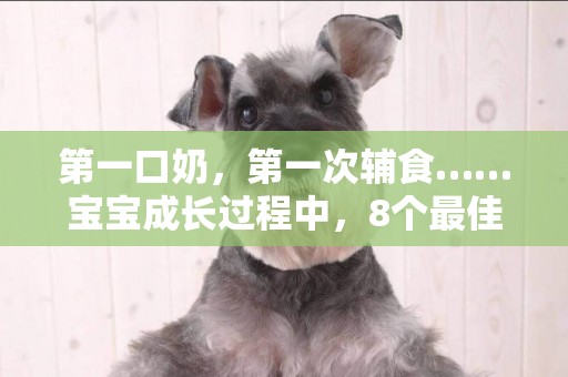 第一口奶，第一次輔食……寶寶成長過程中，8個最佳喂養時間！ 