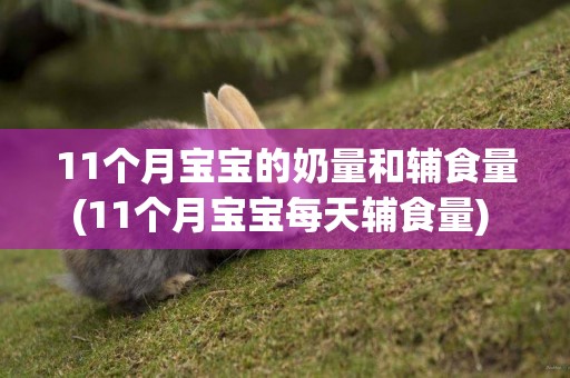 11個月寶寶的奶量和輔食量(11個月寶寶每天輔食量) 