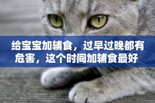給寶寶加輔食，過早過晚都有危害，這個時間加輔食最好 