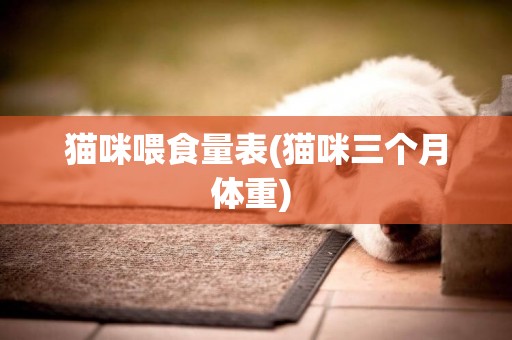 貓咪喂食量表(貓咪三個月體重) 