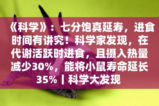 《科學》：七分飽真延壽，進食時間有講究！科學家發現，在代謝活躍時進食，且攝入熱量減少30%，能將小鼠壽命延長35%丨科學大發現 