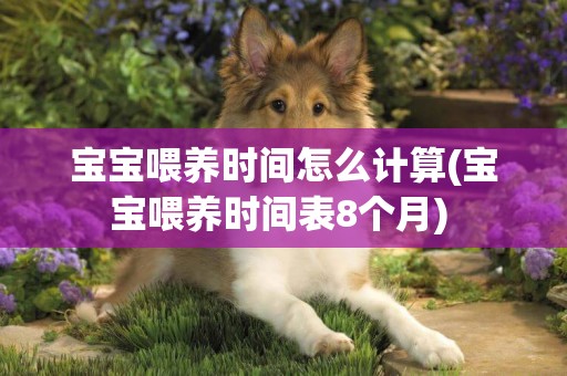 寶寶喂養時間怎么計算(寶寶喂養時間表8個月) 