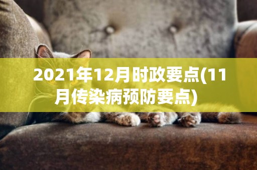 2021年12月時政要點(11月傳染病預防要點) 