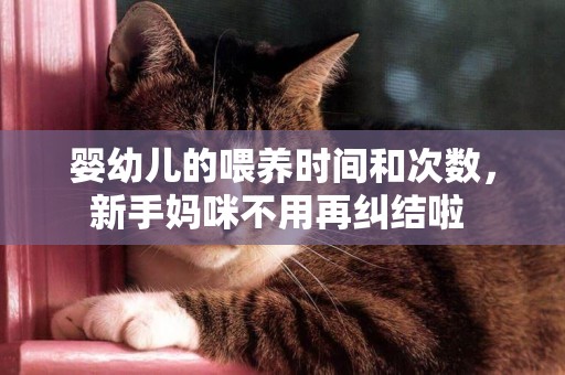 嬰幼兒的喂養時間和次數，新手媽咪不用再糾結啦 