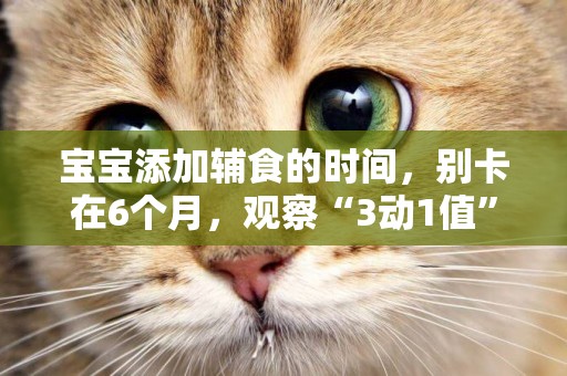 寶寶添加輔食的時間，別卡在6個月，觀察“3動1值”更準確 