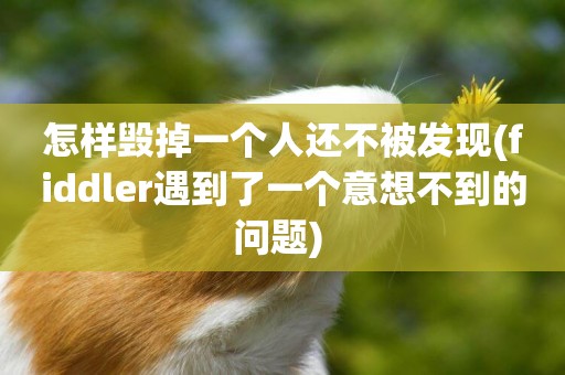 怎樣毀掉一個人還不被發現(fiddler遇到了一個意想不到的問題) 