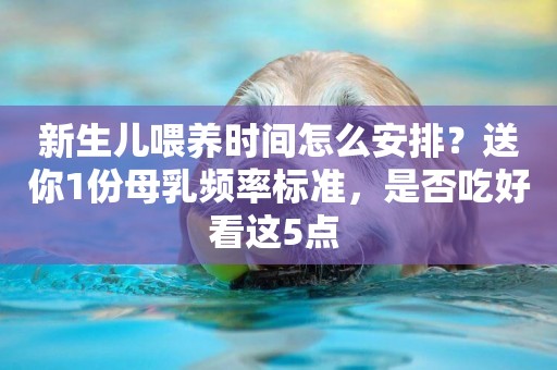 新生兒喂養時間怎么安排？送你1份母乳頻率標準，是否吃好看這5點 