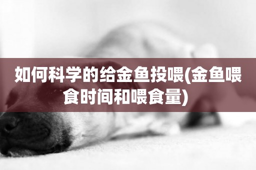 如何科學的給金魚投喂(金魚喂食時間和喂食量) 