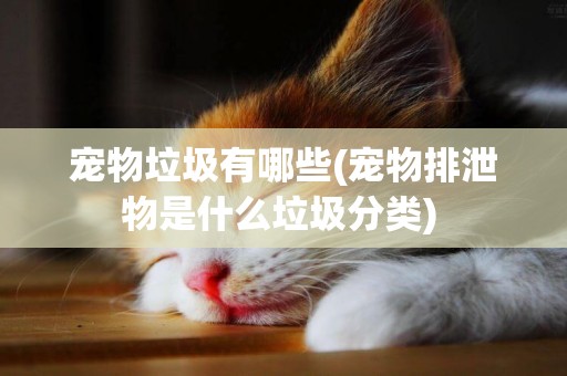 寵物垃圾有哪些(寵物排泄物是什么垃圾分類) 