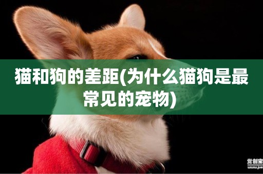 貓和狗的差距(為什么貓狗是最常見的寵物) 