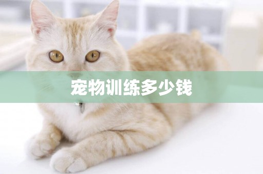 寵物訓練多少錢