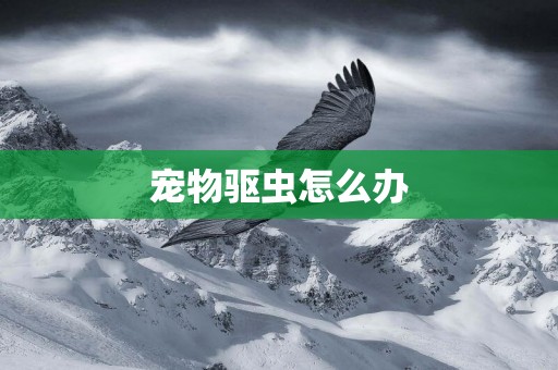 寵物驅蟲怎么辦