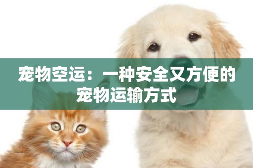 寵物空運：一種安全又方便的寵物運輸方式