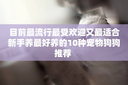 目前最流行最受歡迎又最適合新手養最好養的10種寵物狗狗推薦 