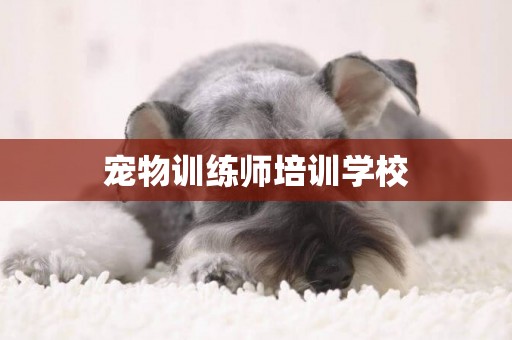 寵物訓練師培訓學校