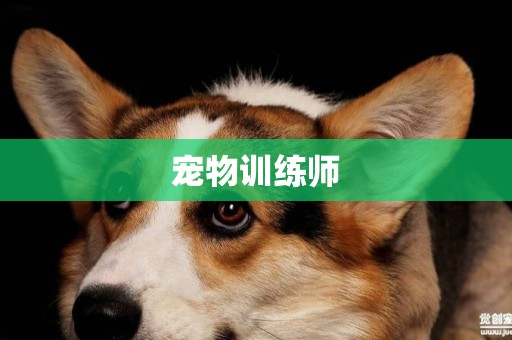 寵物訓練師