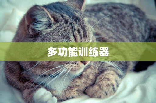 多功能訓練器