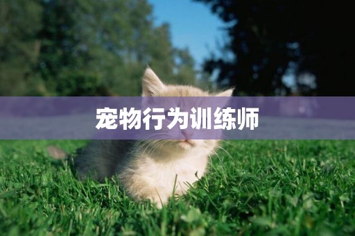 寵物行為訓練師