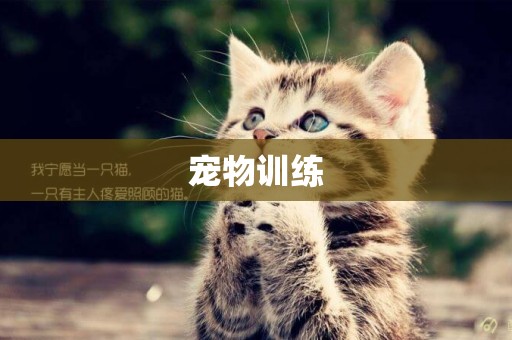 寵物訓練