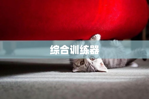 綜合訓練器