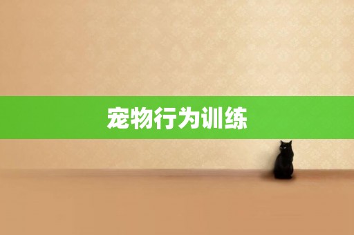 寵物行為訓練