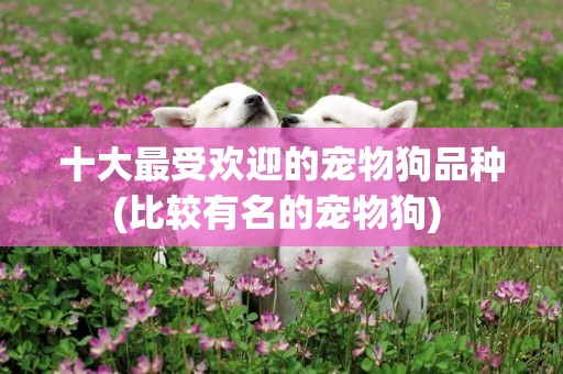 十大最受歡迎的寵物狗品種(比較有名的寵物狗) 