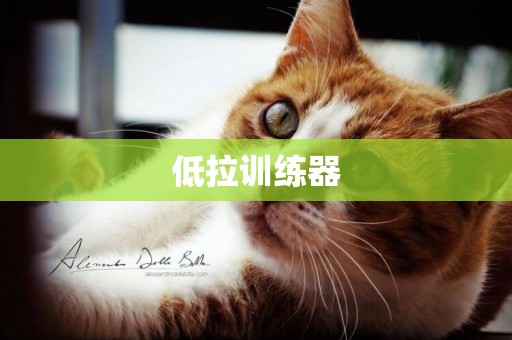 低拉訓練器