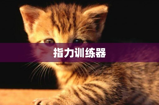 指力訓練器